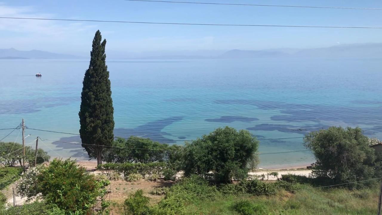 Aliki Studios Букари Экстерьер фото